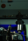 [Figure 2]