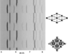 [Figure 7]