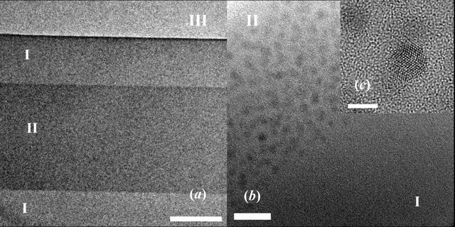 [Figure 1]