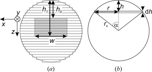 [Figure 1]