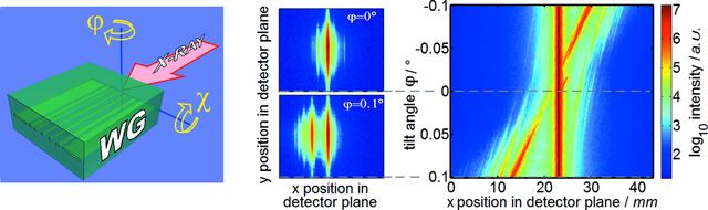[Figure 7]