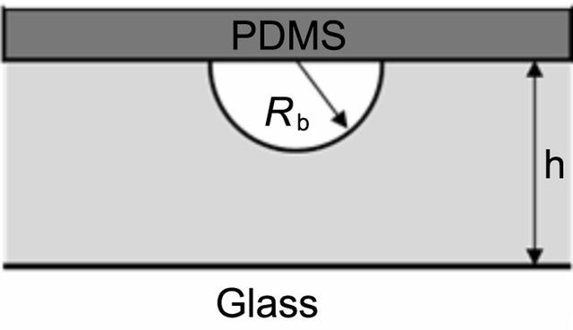 [Figure 10]