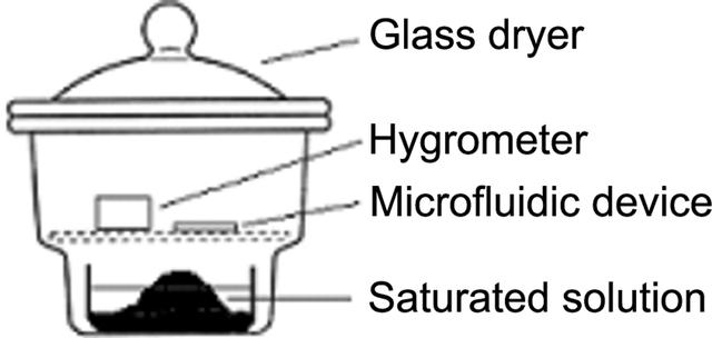 [Figure 2]
