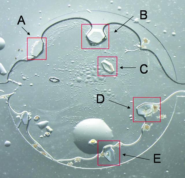 [Figure 6]