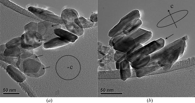 [Figure 2]