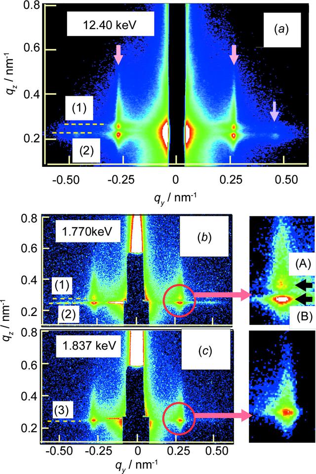 [Figure 2]