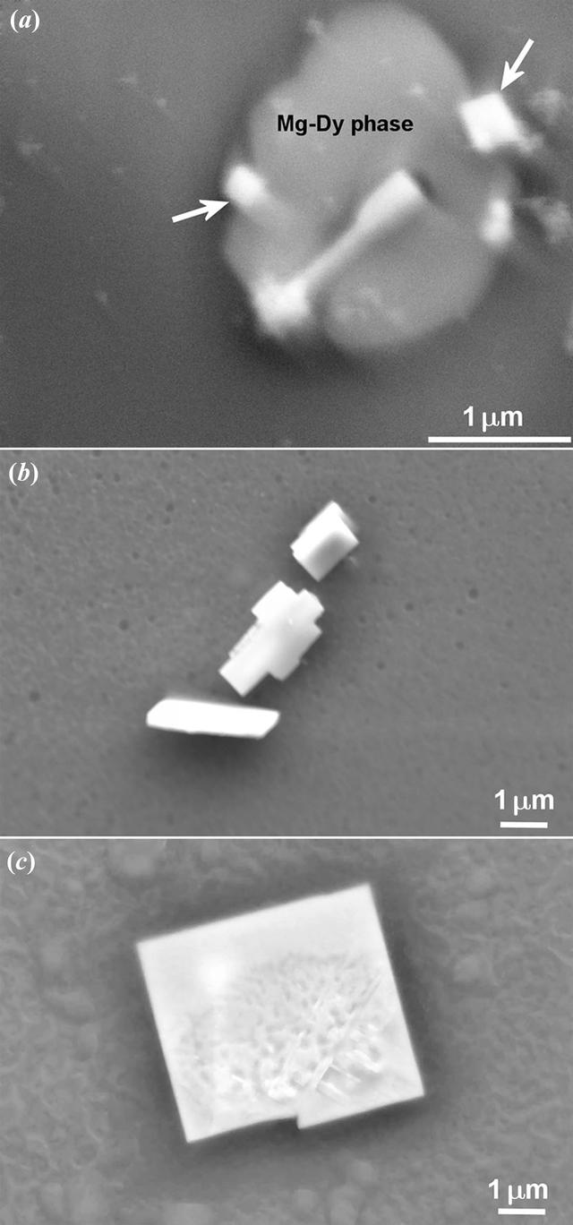 [Figure 1]