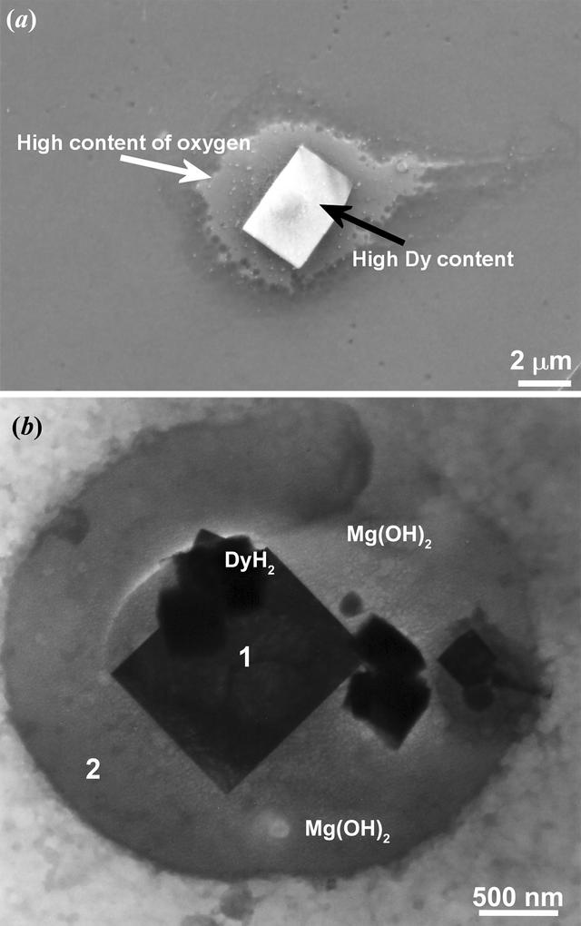 [Figure 4]