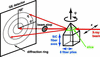 [Figure 1]