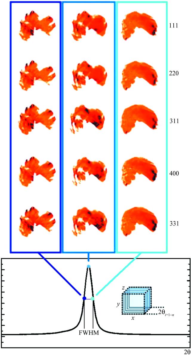 [Figure 14]