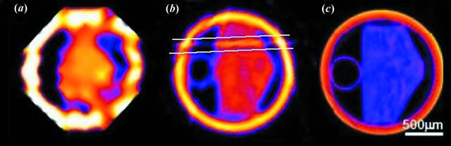 [Figure 8]