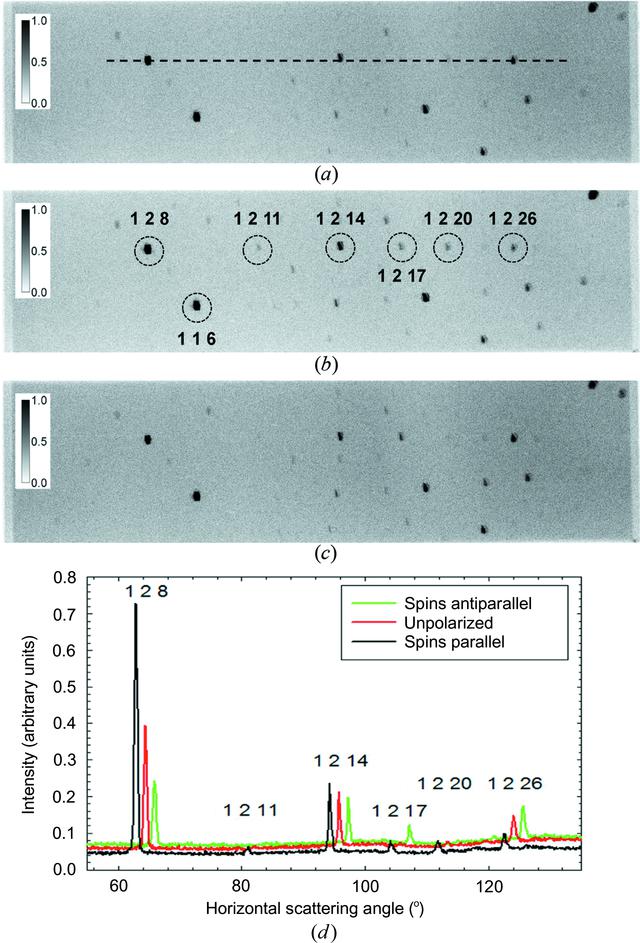 [Figure 4]