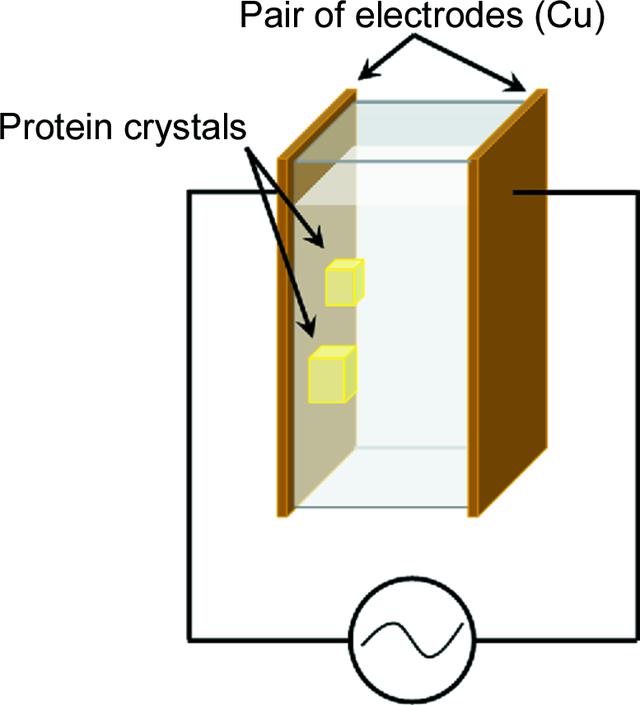 [Figure 1]
