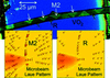 [Figure 10]