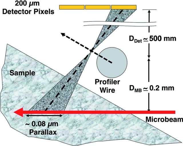 [Figure 3]