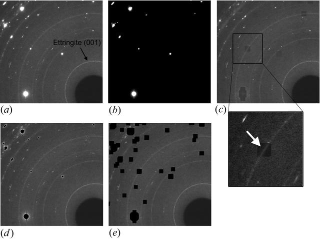 [Figure 1]
