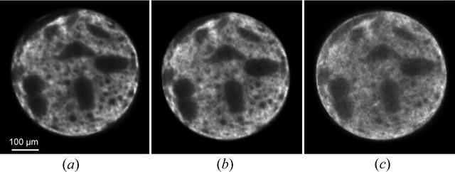 [Figure 2]
