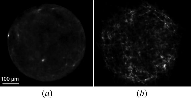 [Figure 3]