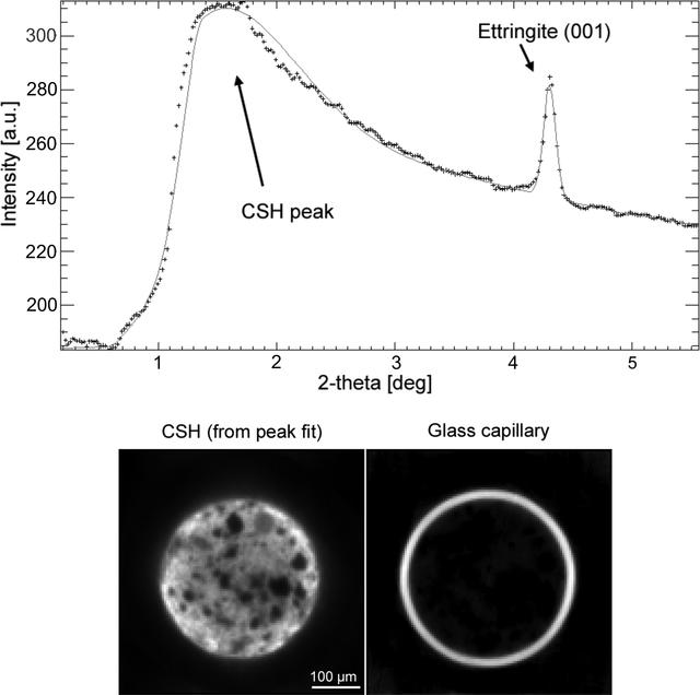 [Figure 6]