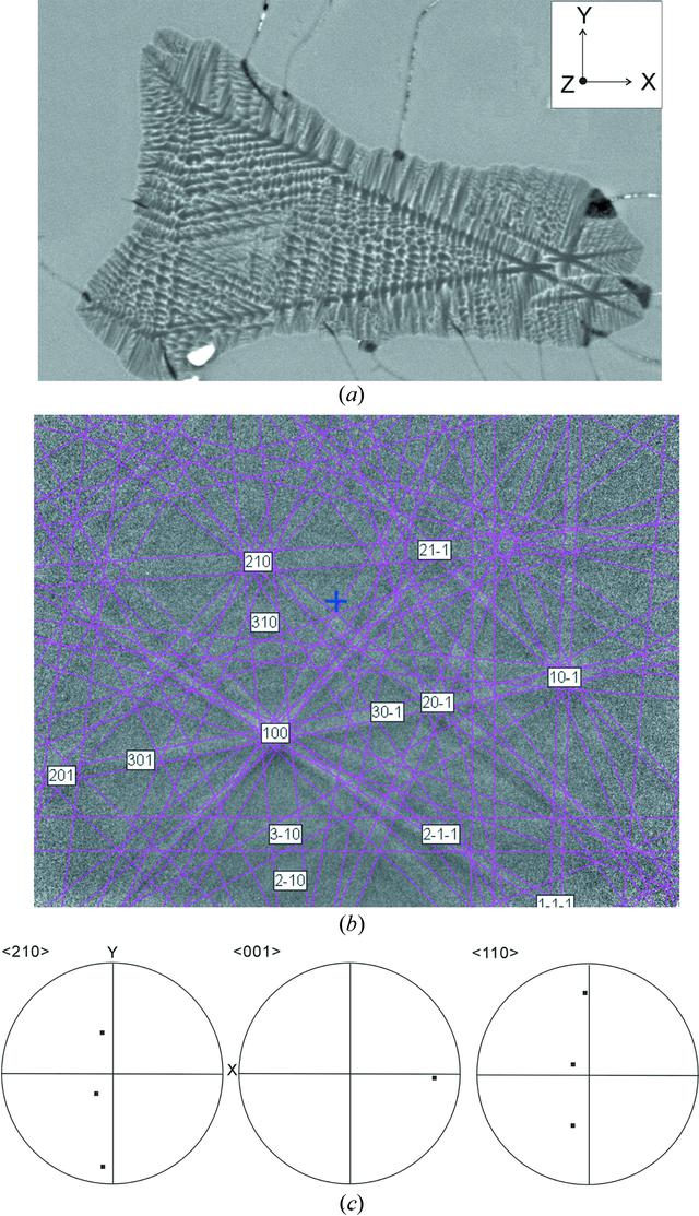[Figure 2]