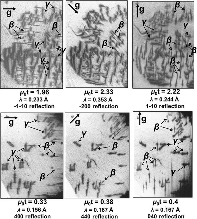 [Figure 3]