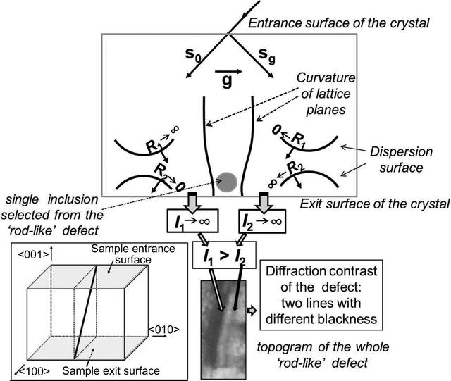 [Figure 8]