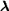 [bold lambda]