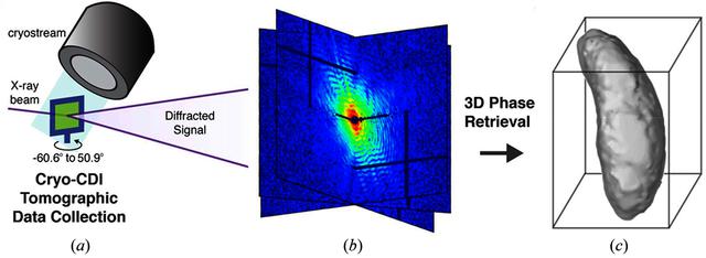 [Figure 2]