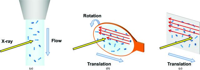 [Figure 7]