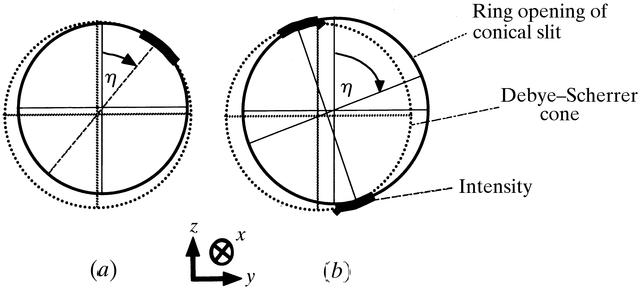 [Figure 4]