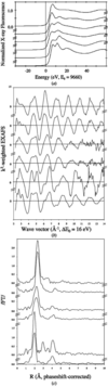 [Figure 1]