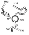 [Figure 7]