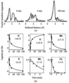 [Figure 5]
