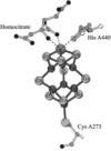[Figure 2]