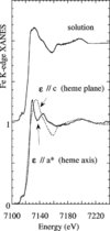 [Figure 5]