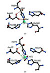 [Figure 1]