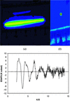 [Figure 1]