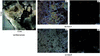 [Figure 1]