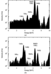 [Figure 3]