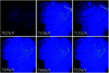 [Figure 4]