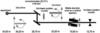 [Figure 1]