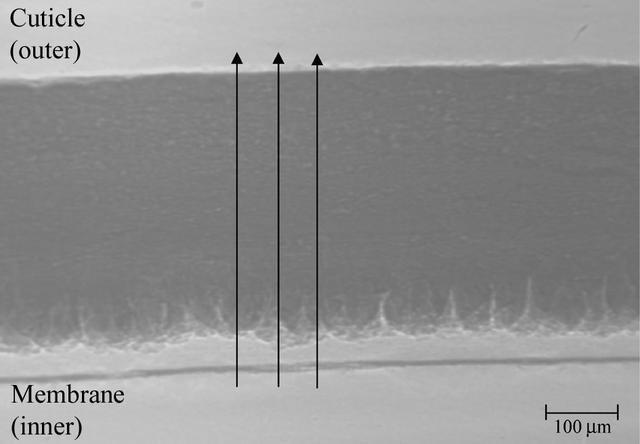 [Figure 2]