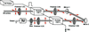 [Figure 7]