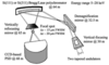 [Figure 1]