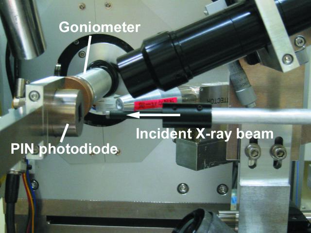 [Figure 1]