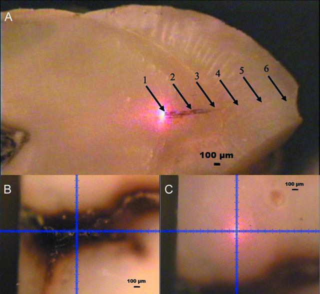 [Figure 1]