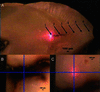 [Figure 1]