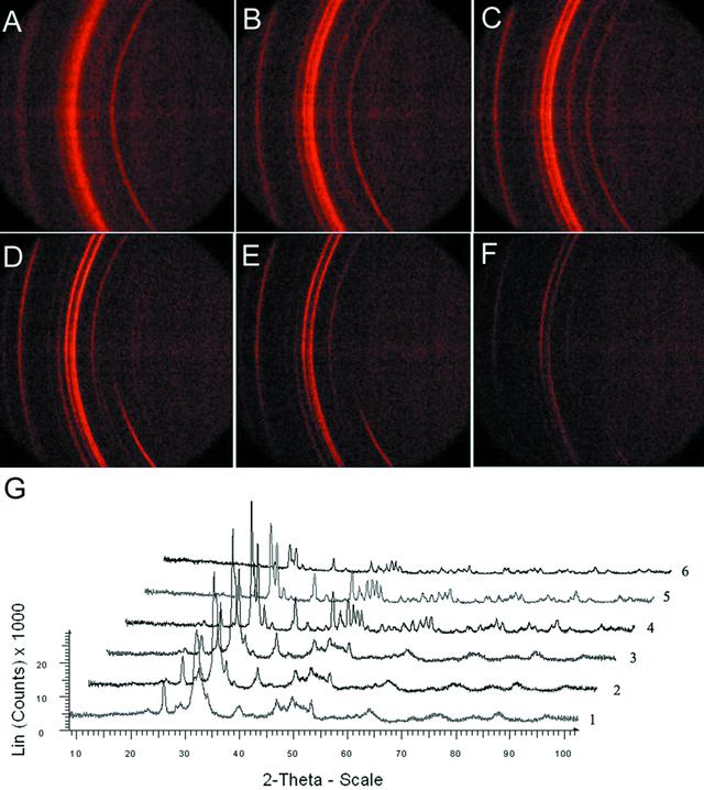 [Figure 2]