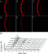 [Figure 2]