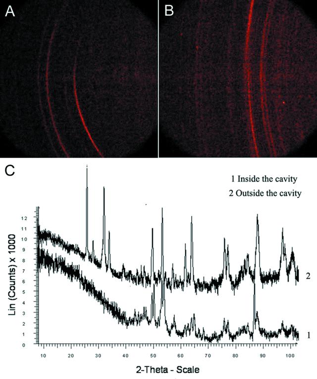 [Figure 3]
